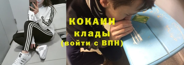 шишки Семёнов