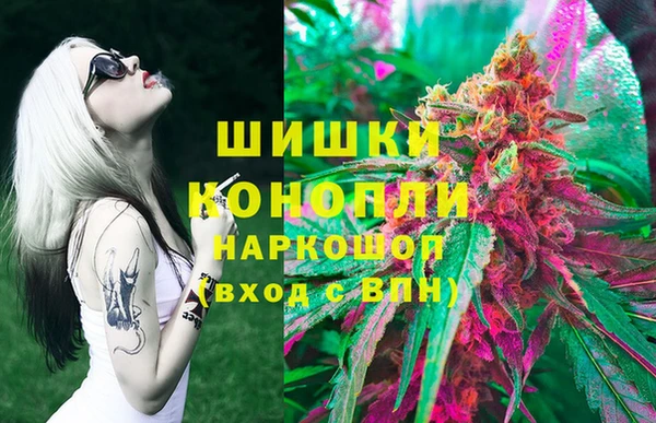 шишки Семёнов