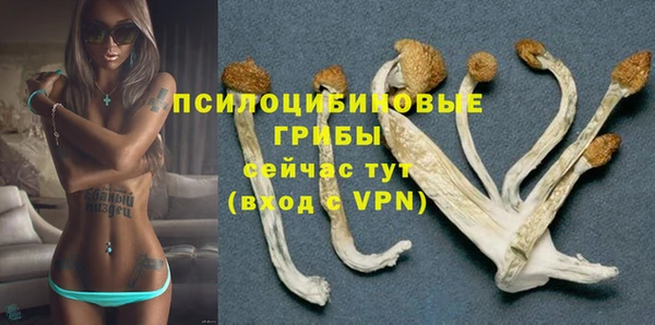 шишки Семёнов