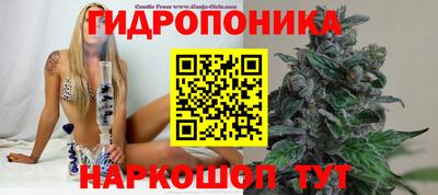 ECSTASY Брянск