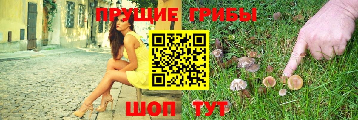 Галлюциногенные грибы GOLDEN TEACHER Братск